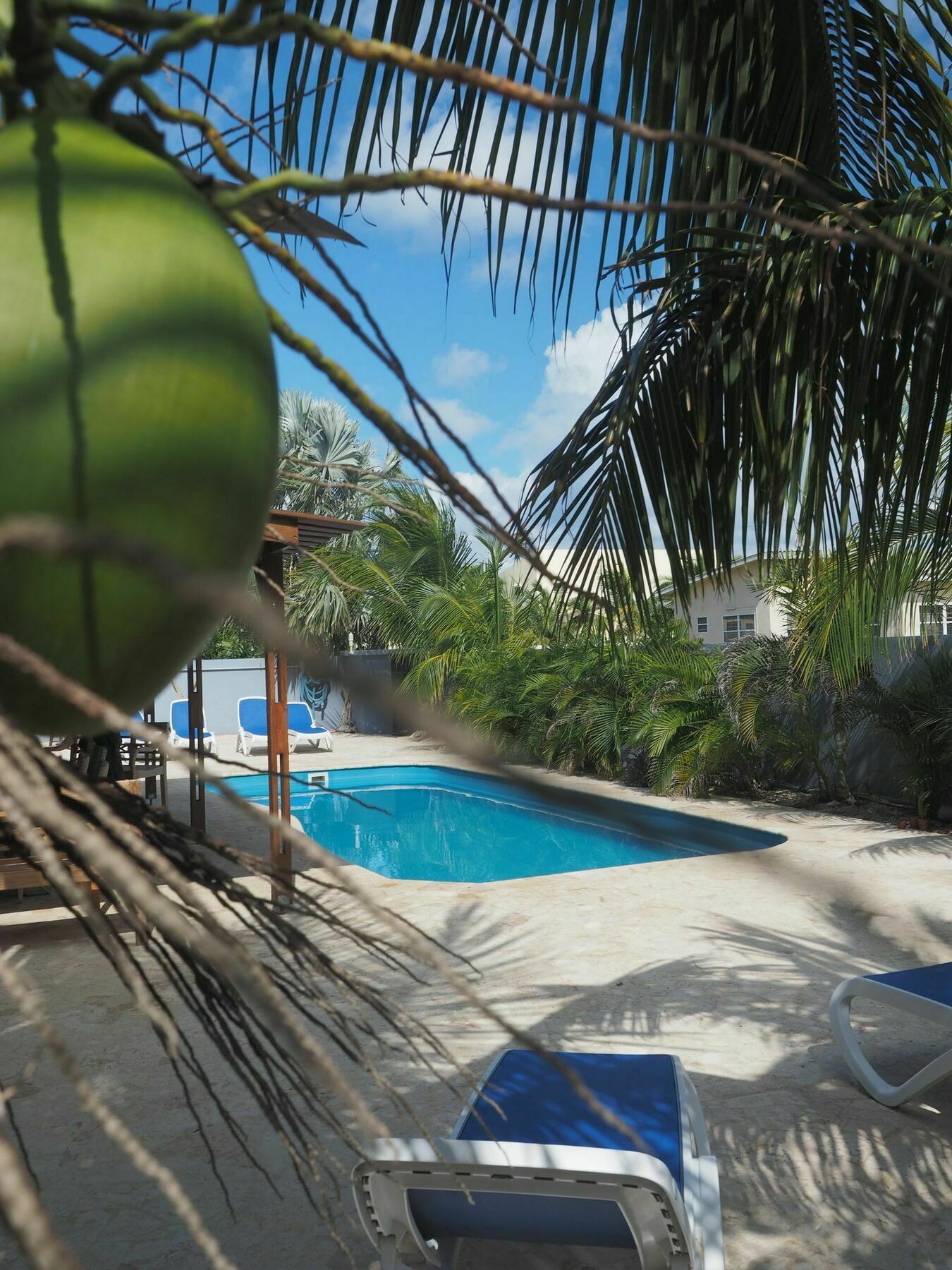 Guest house Oasis Guesthouse, Boutique Style
