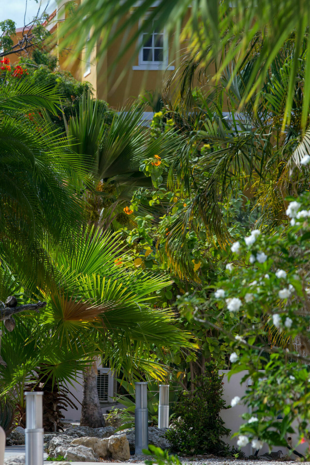 Villa Hamlet Oasis *