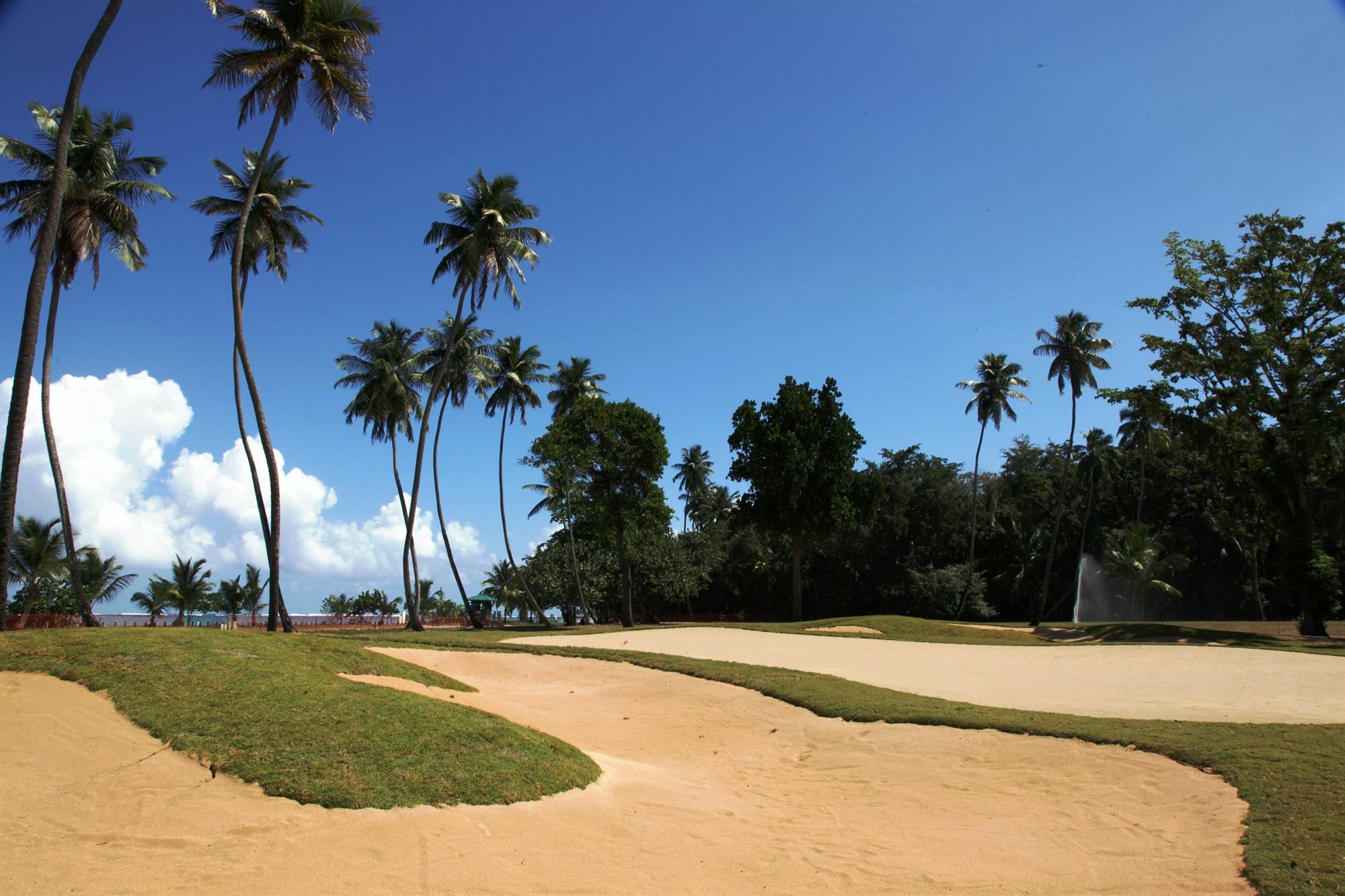 Plantation Residences At Resort 4*