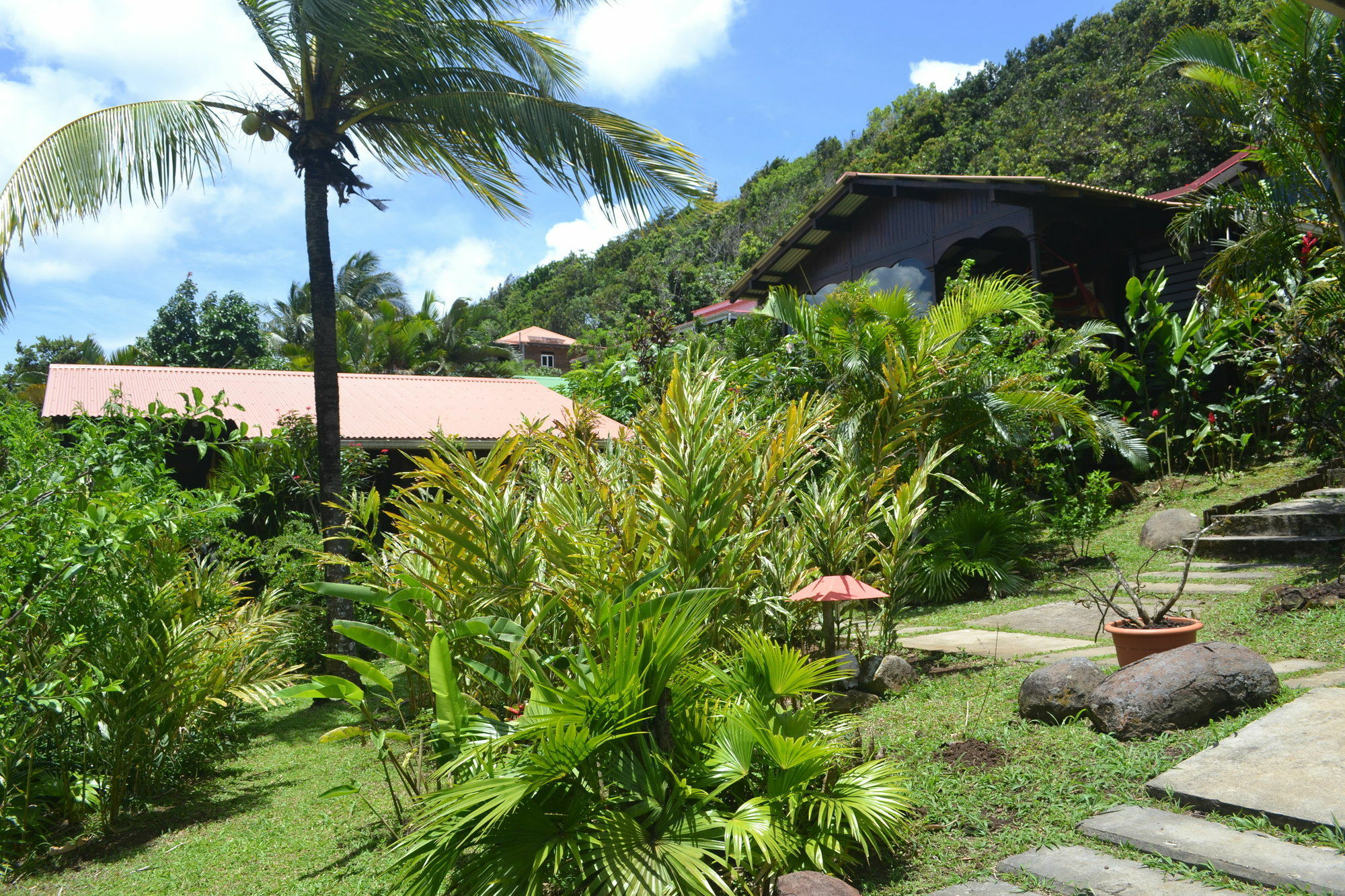 Piton * Deshaies