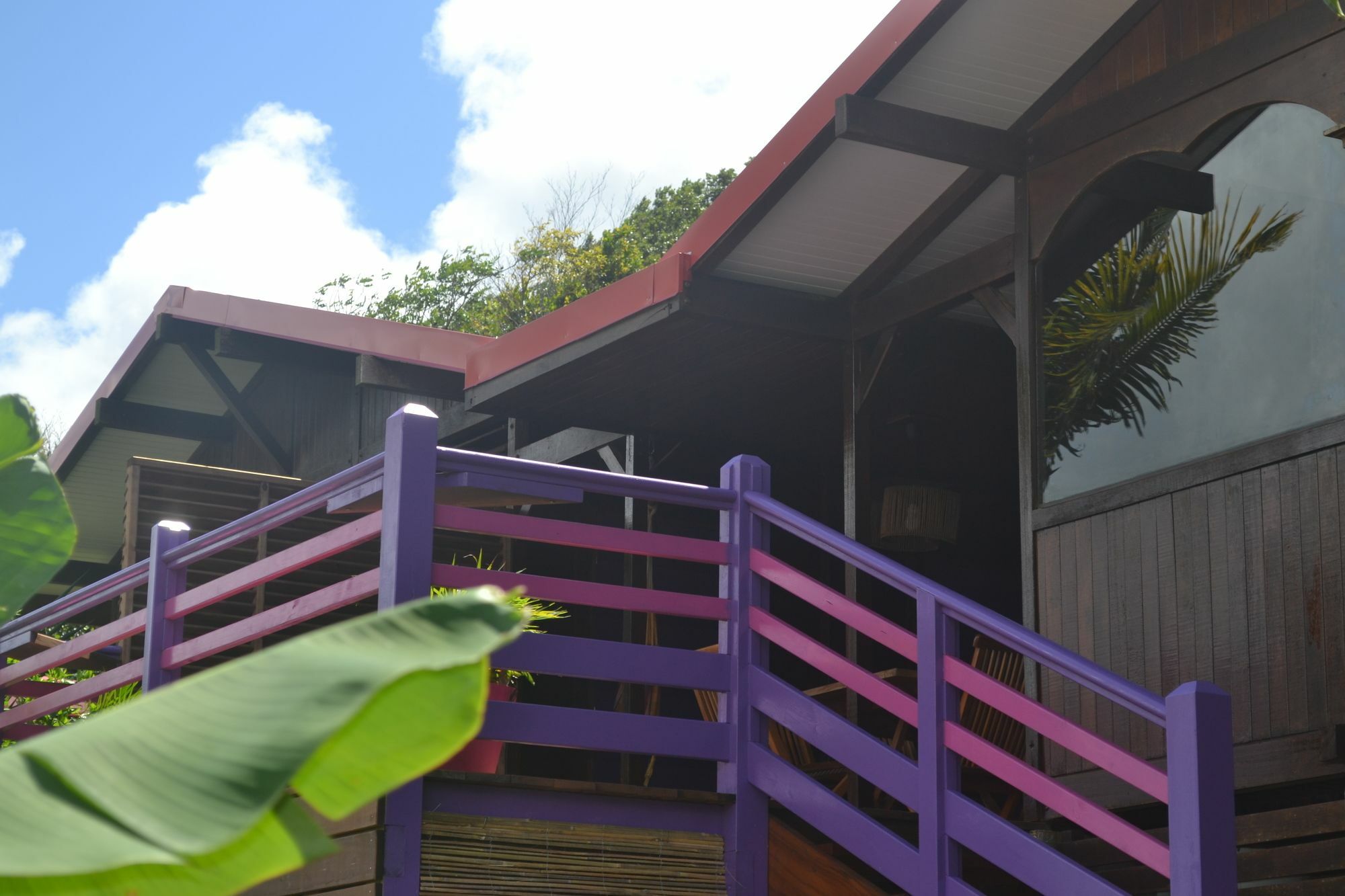 Piton