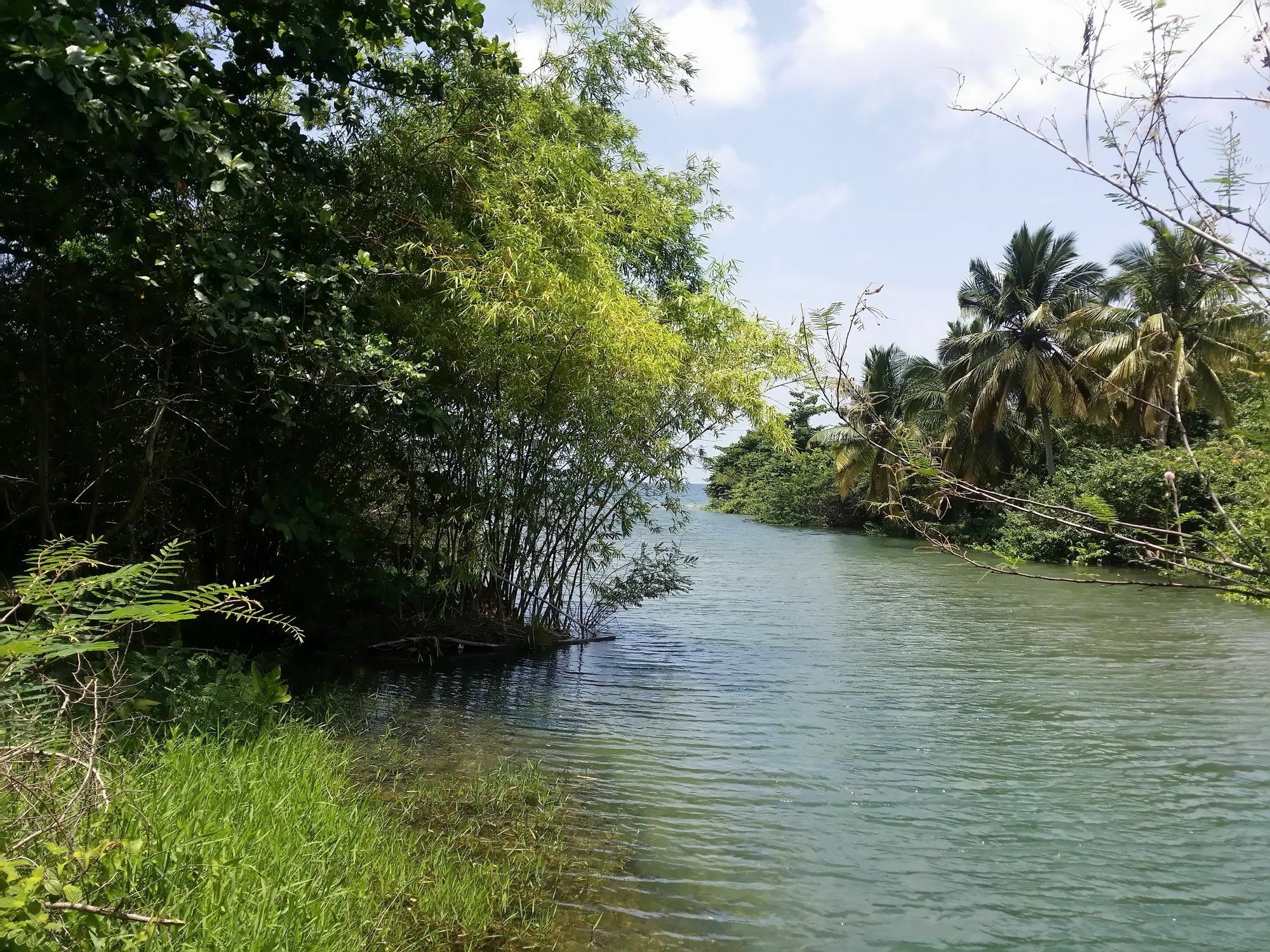 Bungalow Papaye Pointe-Noire