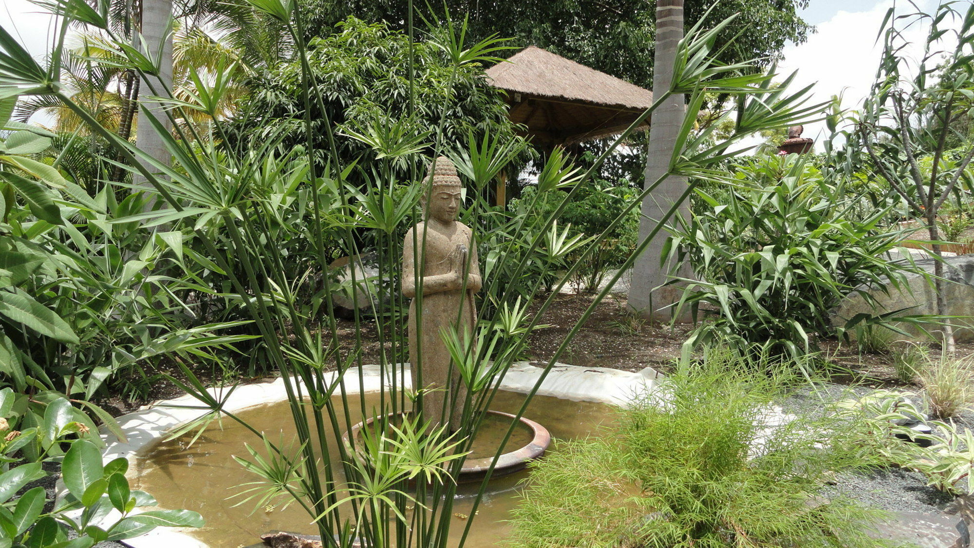 La Plantation & Saint-Francois (Grande-Terre)