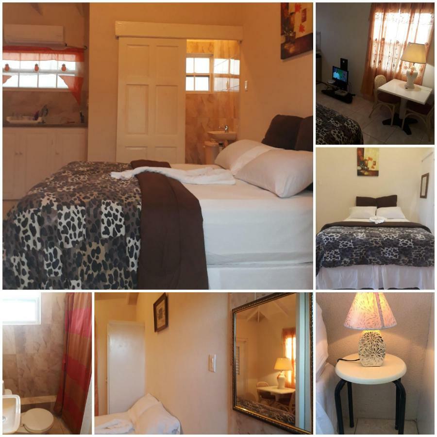 Apartment Haven House Christ Church