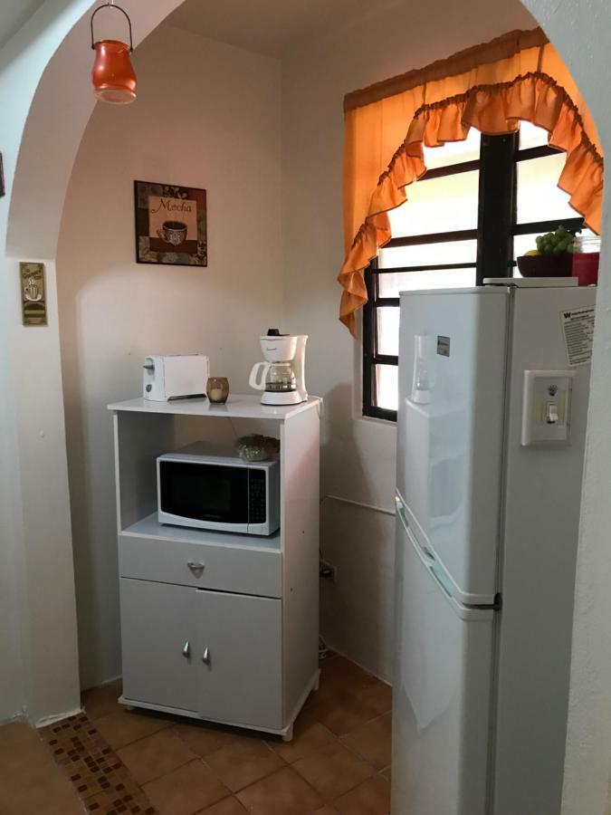 Brisas Del Mar 1/1 Front Apartment Rincon
