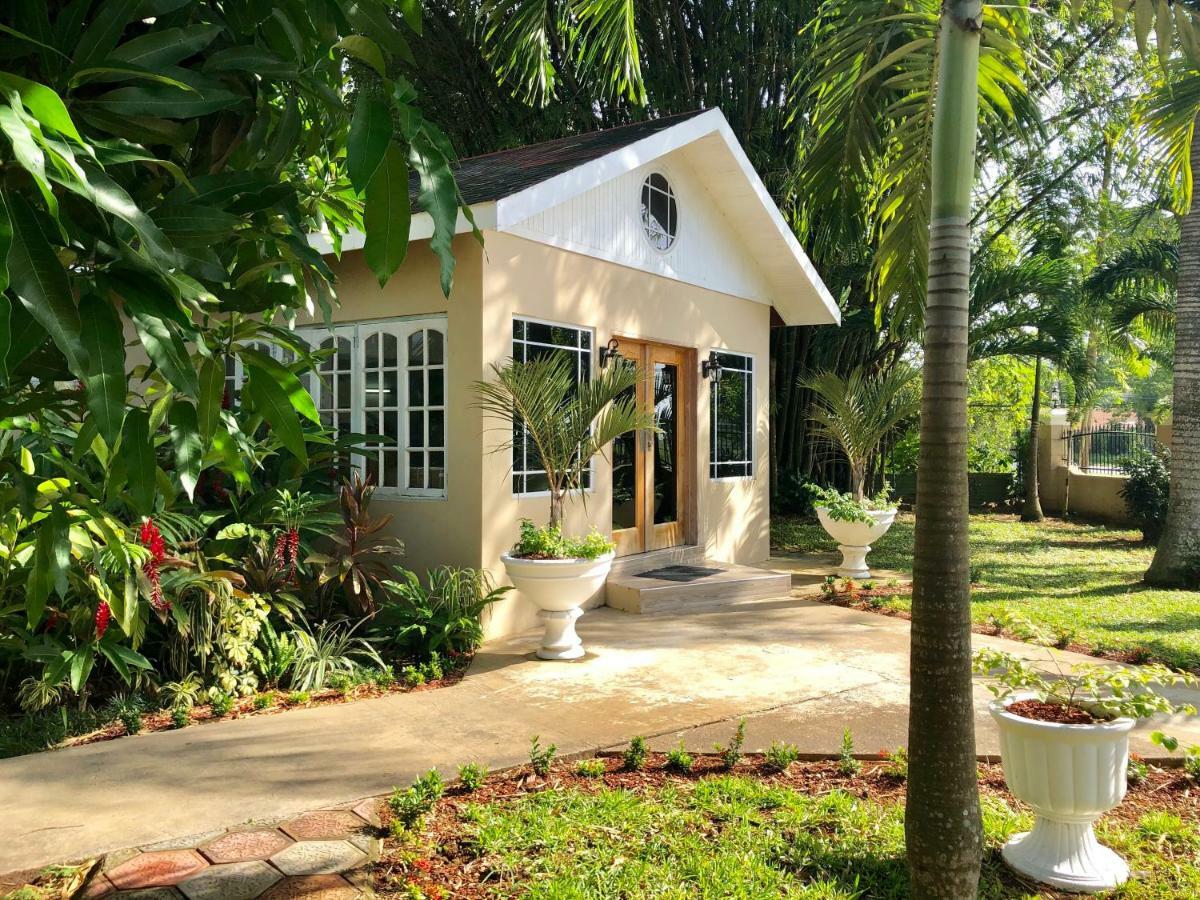 Coral Seas Garden 3*