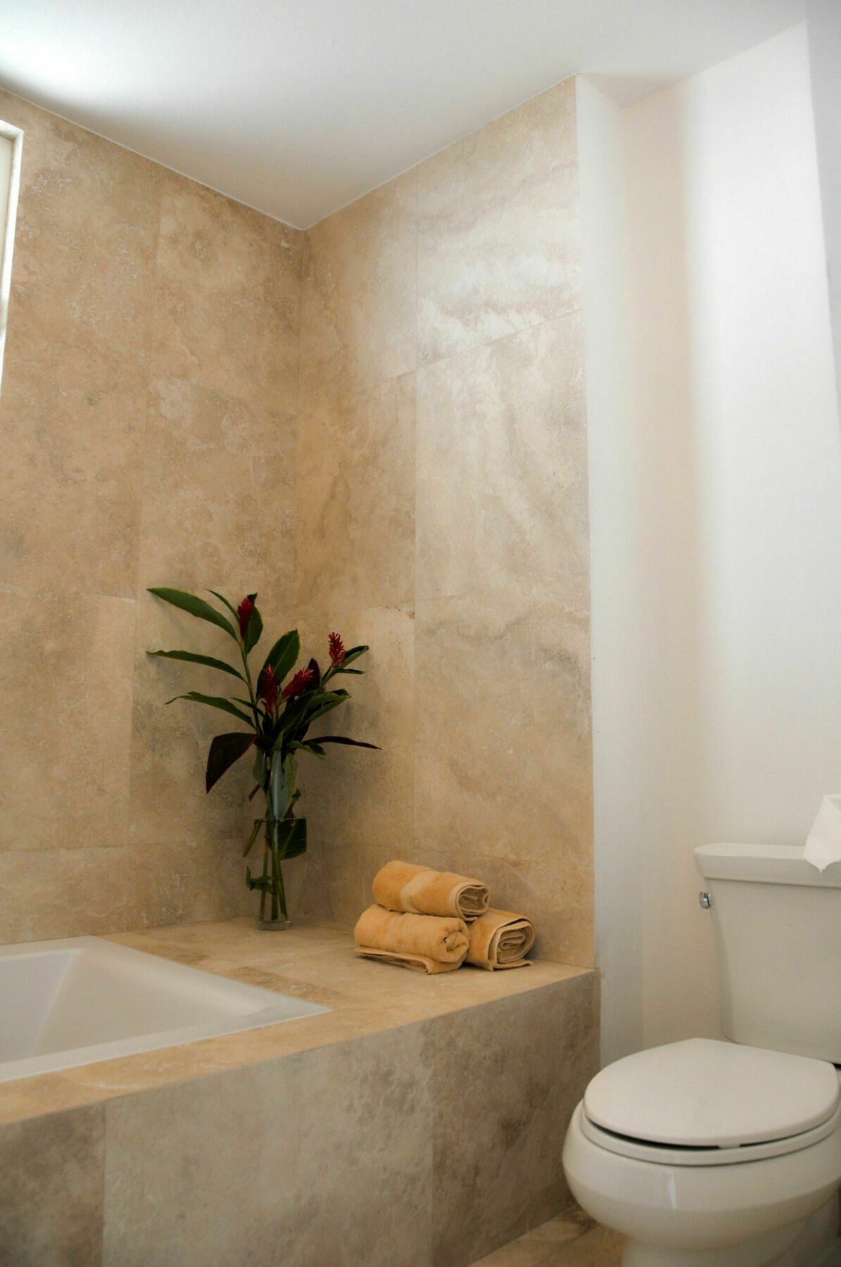 Amazing Apartamento *