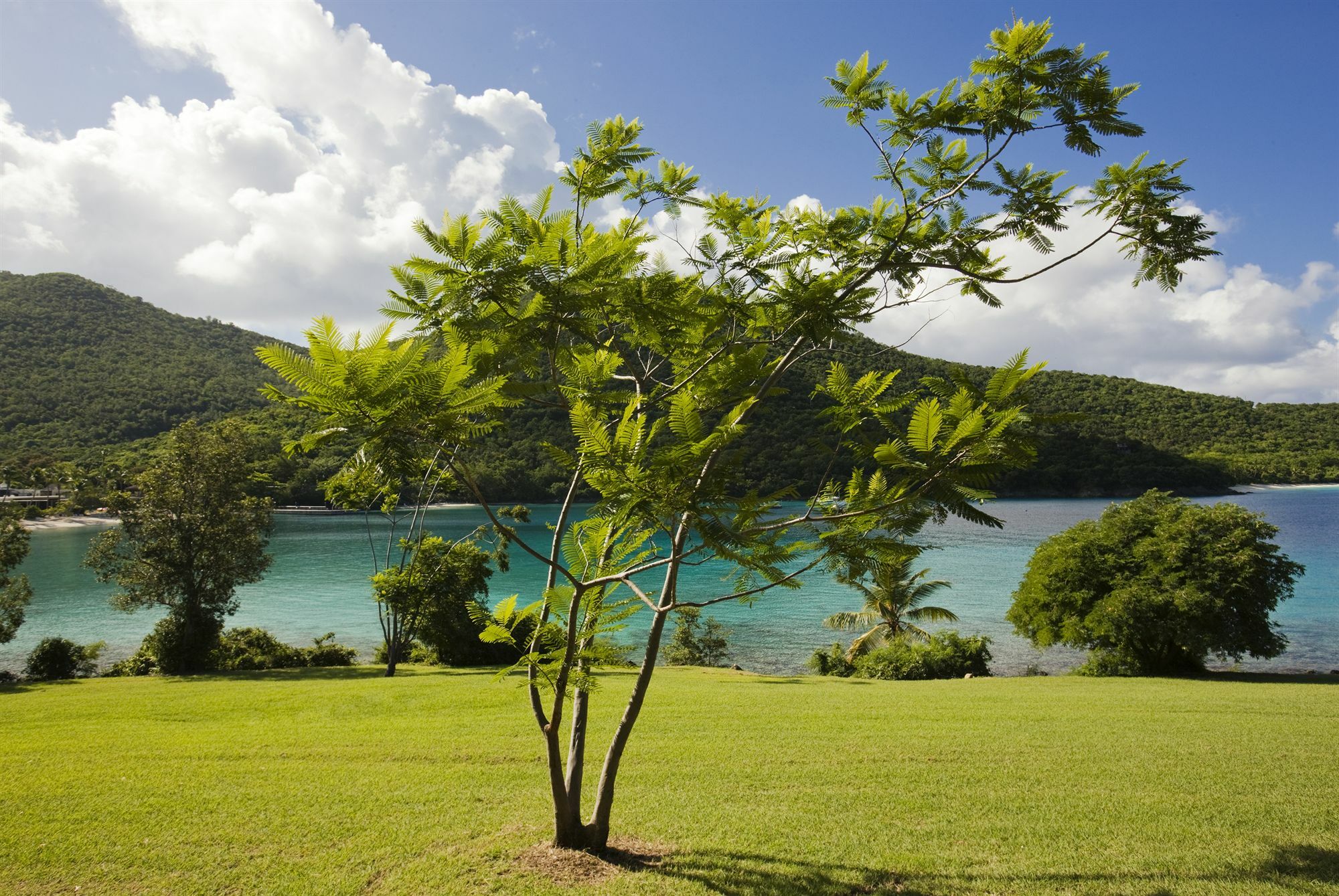 Caneel Bay Resort