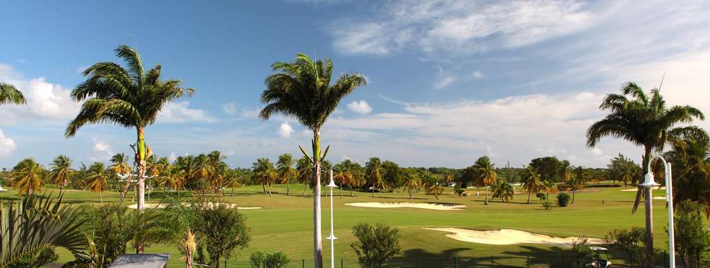 Bwa Chik & Golf Saint-Francois (Grande-Terre)