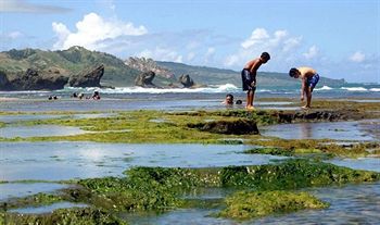Round House 2* Bathsheba