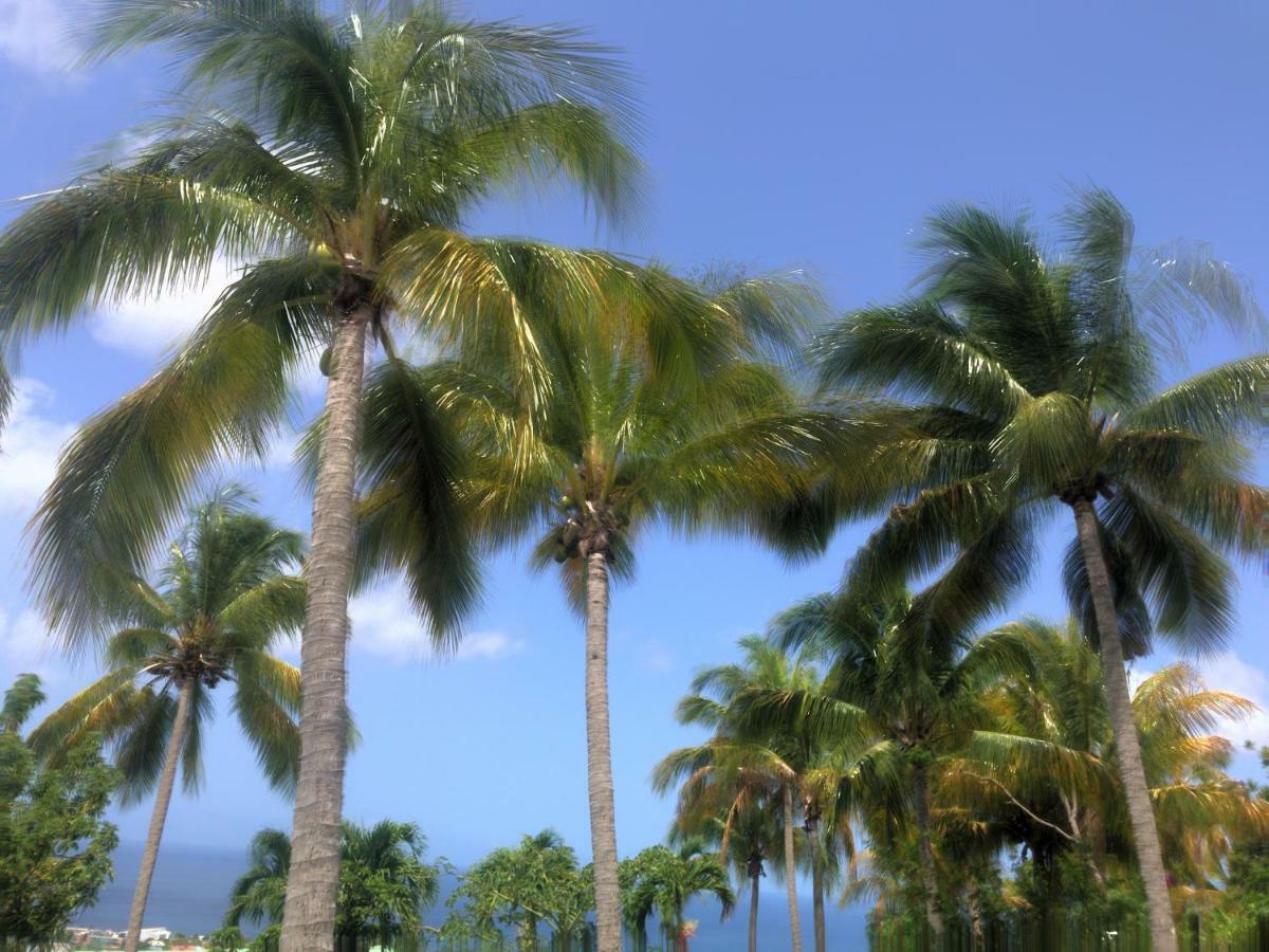Aparthotel Paradis Tropical 3*