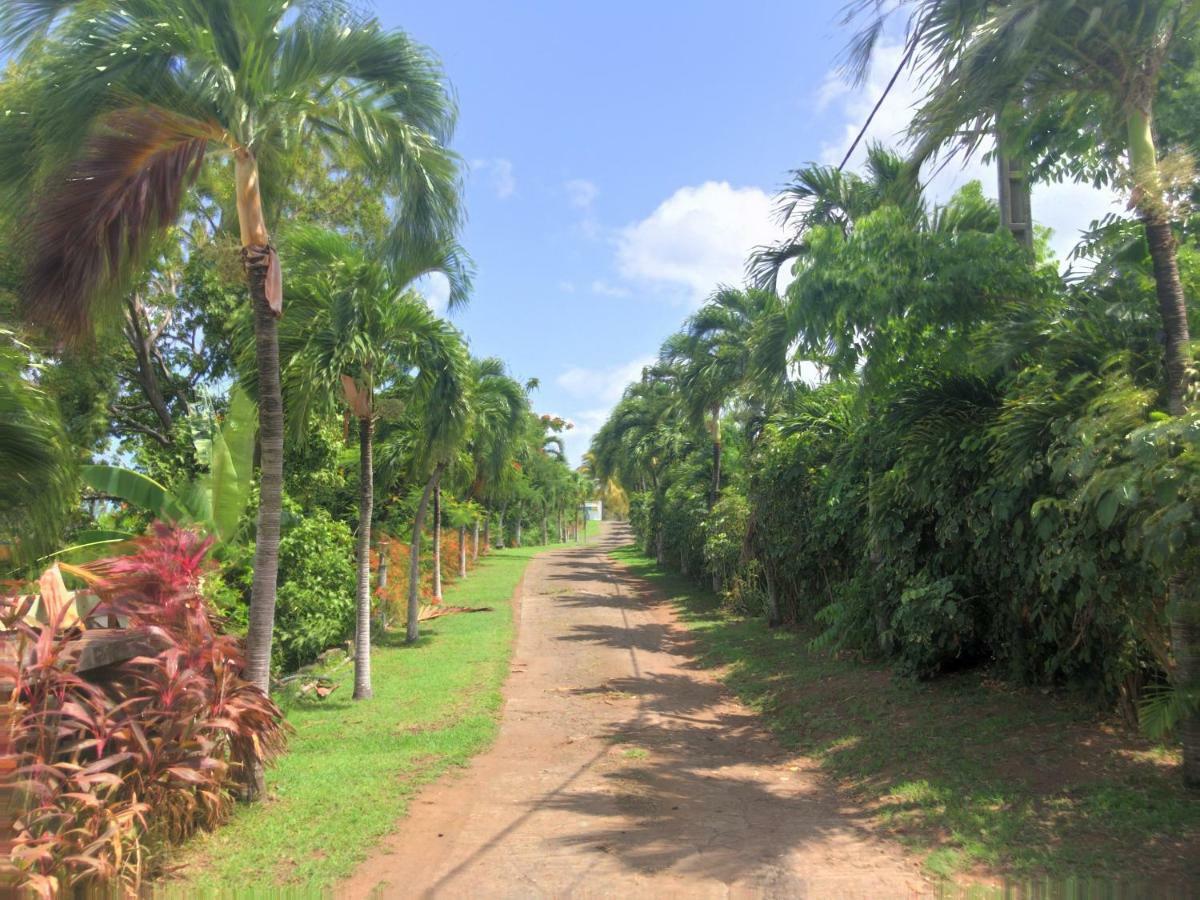 Aparthotel Paradis Tropical 3*