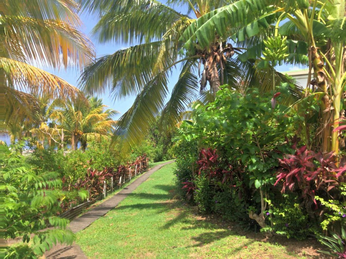 Paradis Tropical Basse-Terre