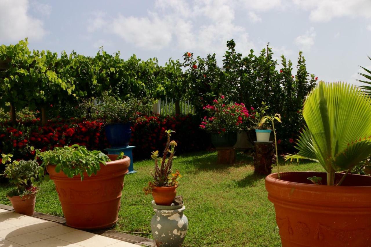 Bed & Breakfast 6 Suites Piscine Et Plage Pointe Faula