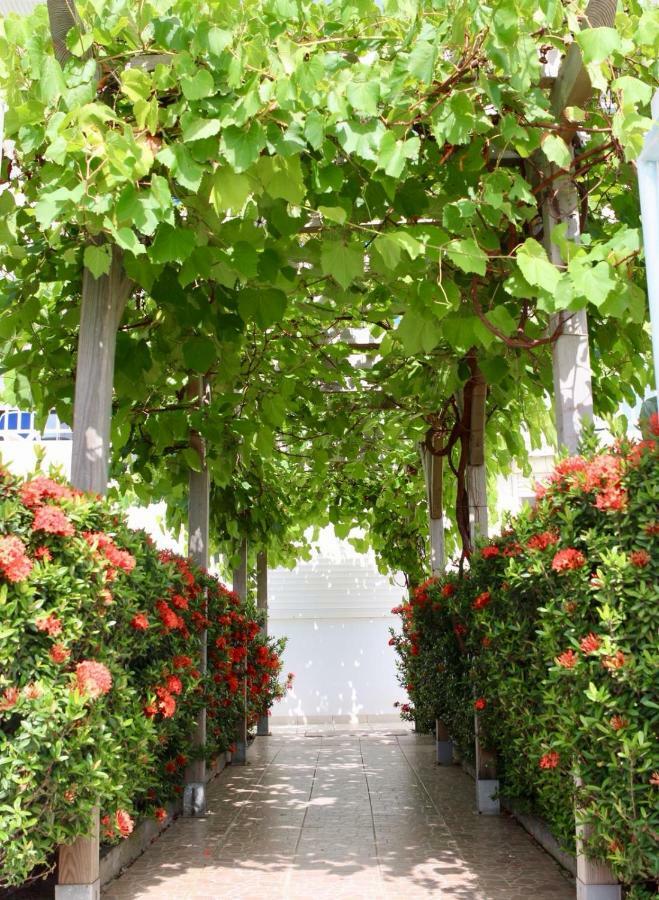 Bed & Breakfast 6 Suites Piscine Et Plage Pointe Faula Le Vauclin