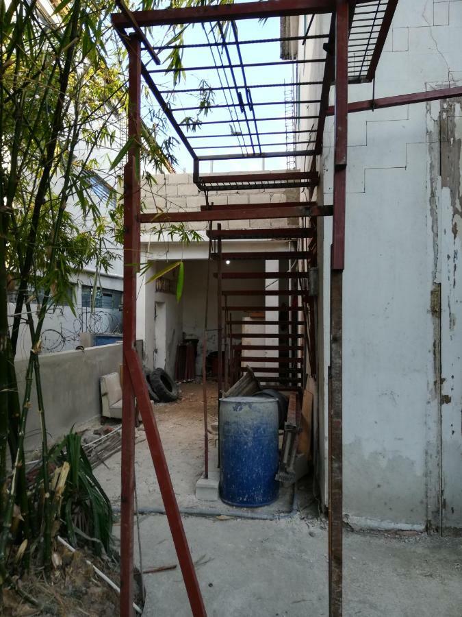 Park Hostel *