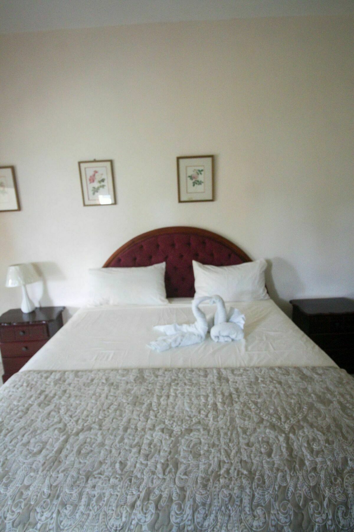 Chateau Margarite Guest house Montego Bay