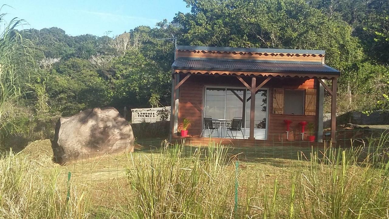 Holiday home Prune De Coton Deshaies