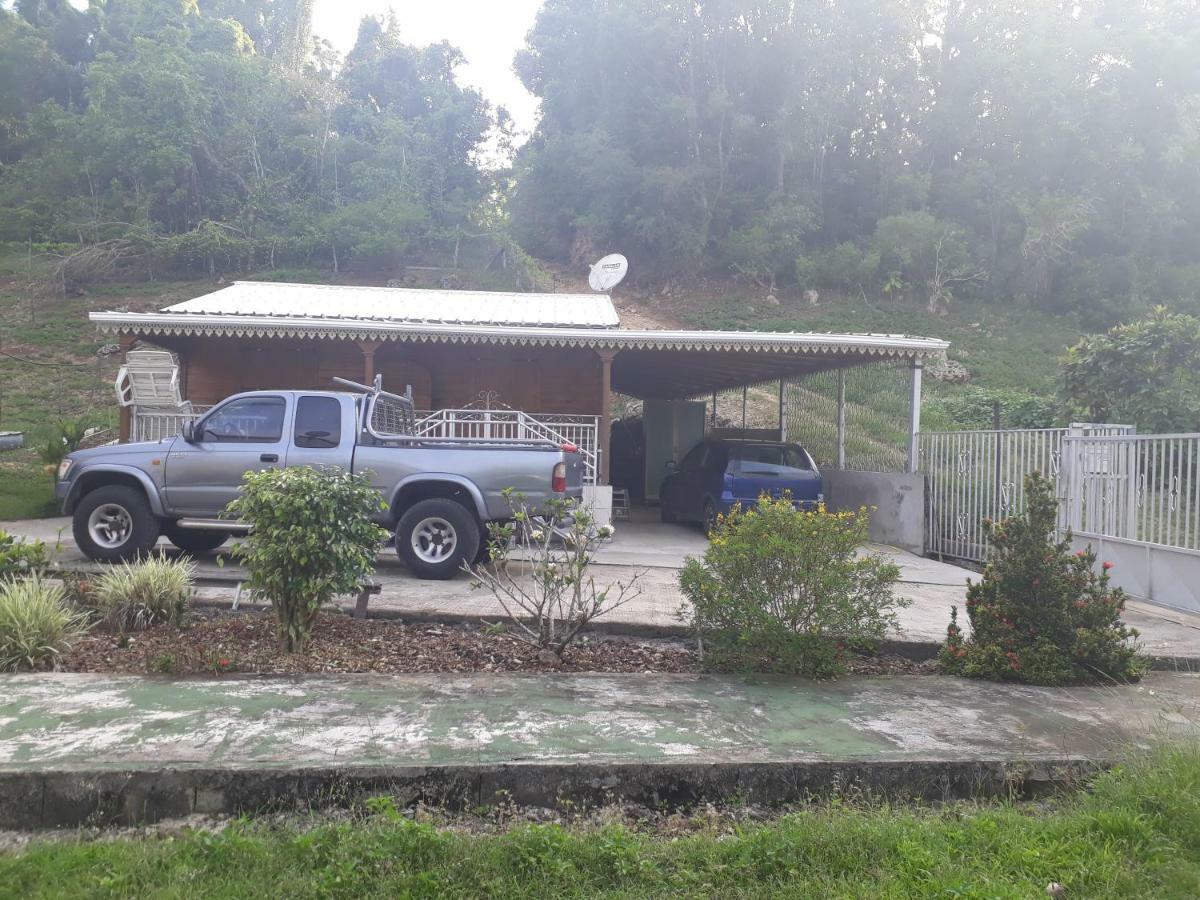 Holiday home La Belle Creole *