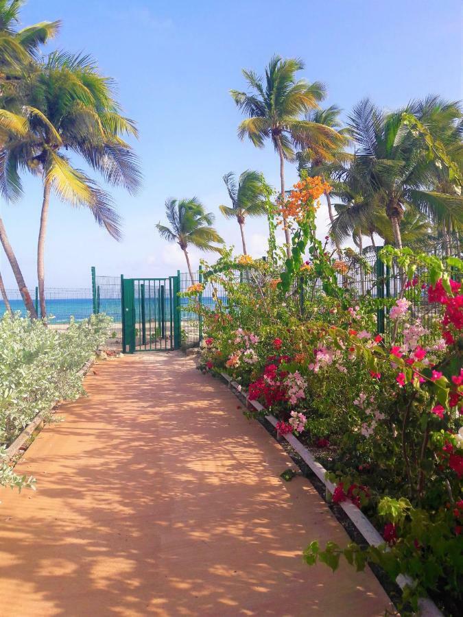 Apartment Studio Bleu Caraibe Le Gosier (Grande-Terre)