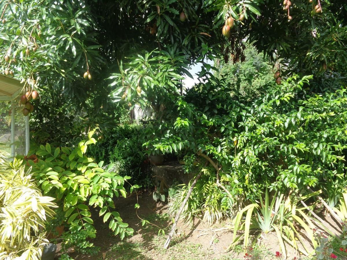 Malou Holiday home Deshaies
