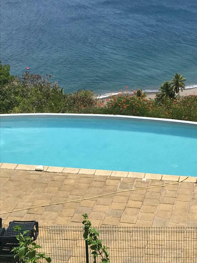 Morne Charlotte Homestay Le Carbet