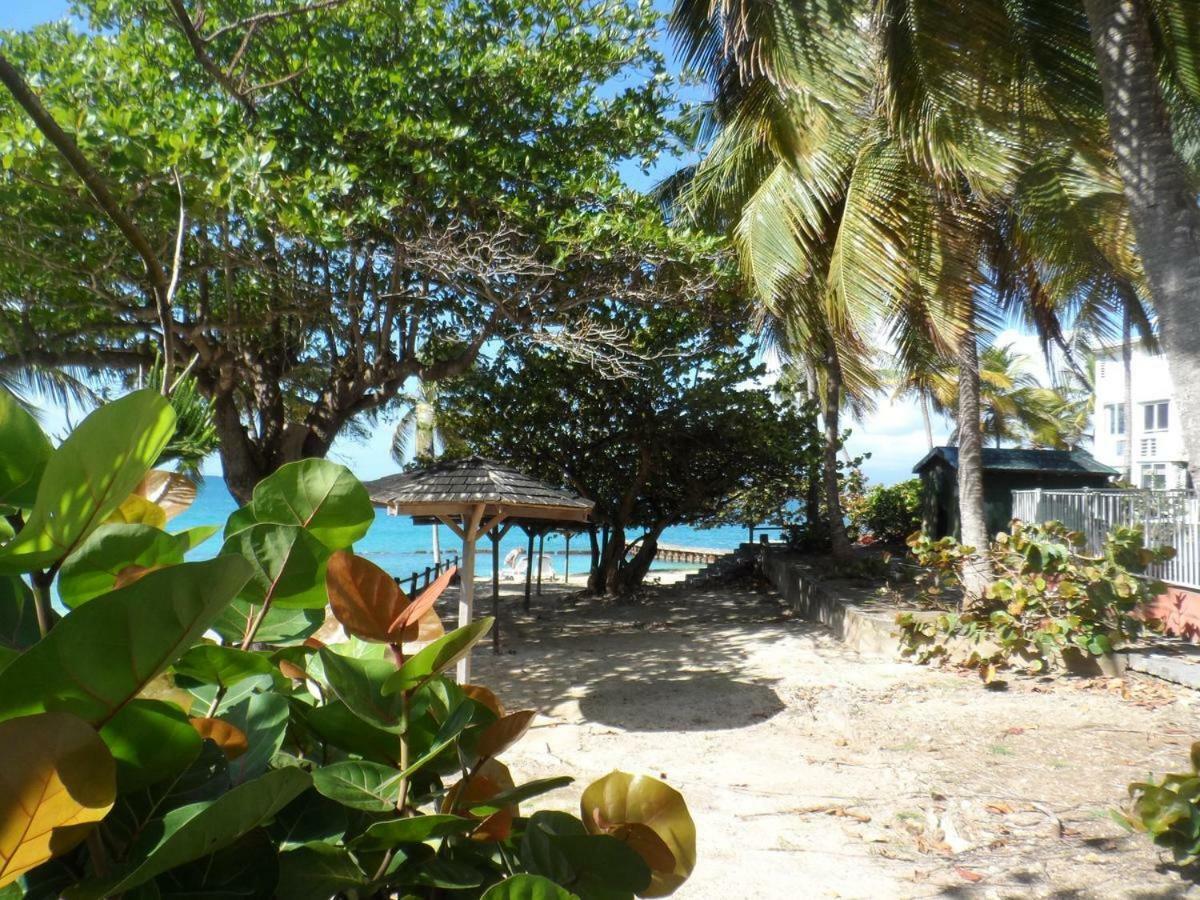 Luxe Vue Le Gosier (Grande-Terre)