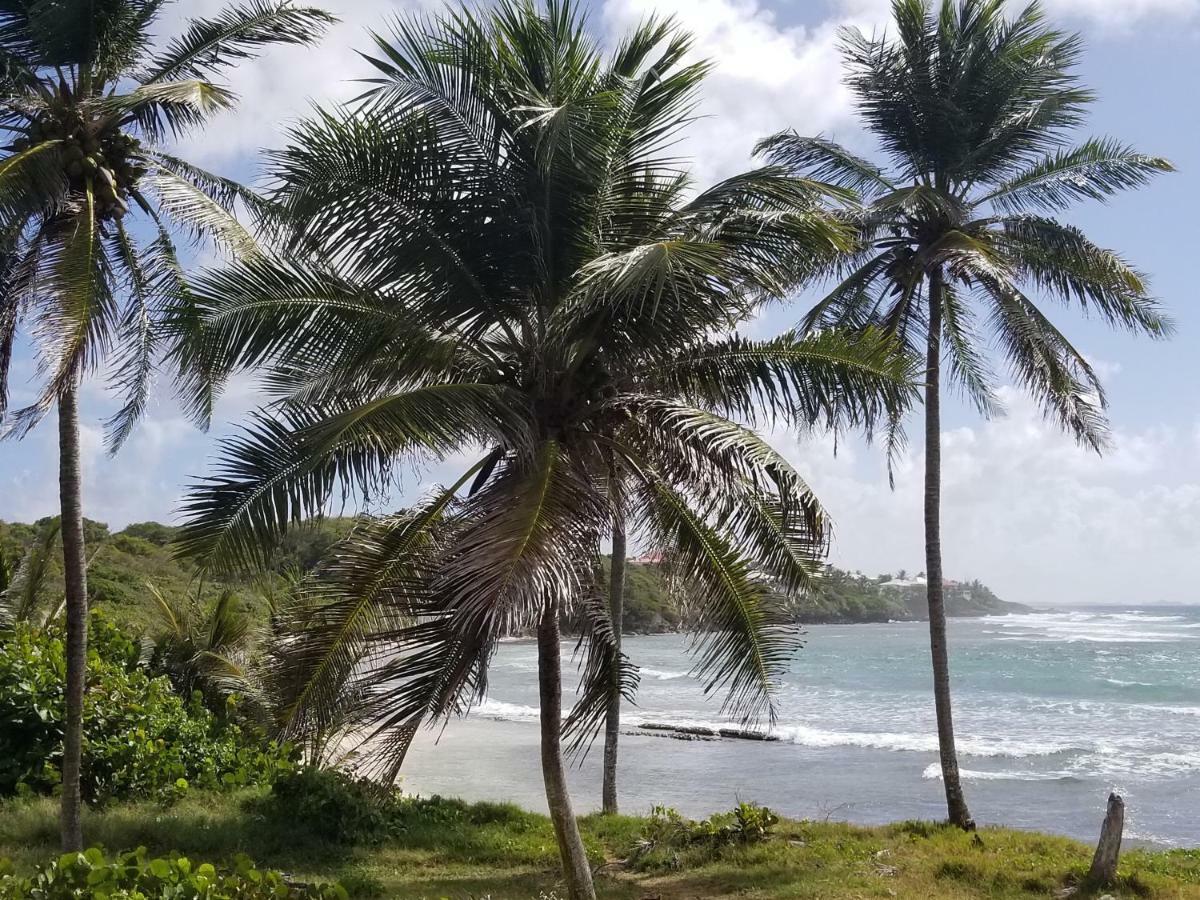 Cozy 331 Adr Saint-Francois (Grande-Terre)