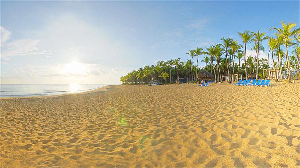 Excellence Punta Cana (adults Only) Uvero Alto