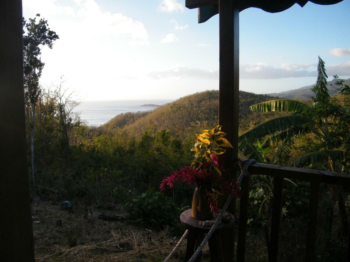 Les Hauts De Falaise Bouillante