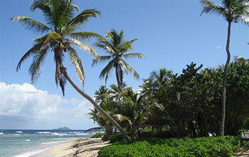 The Palms At Pelican Cove (adults Only) 3* La Grande Princesse