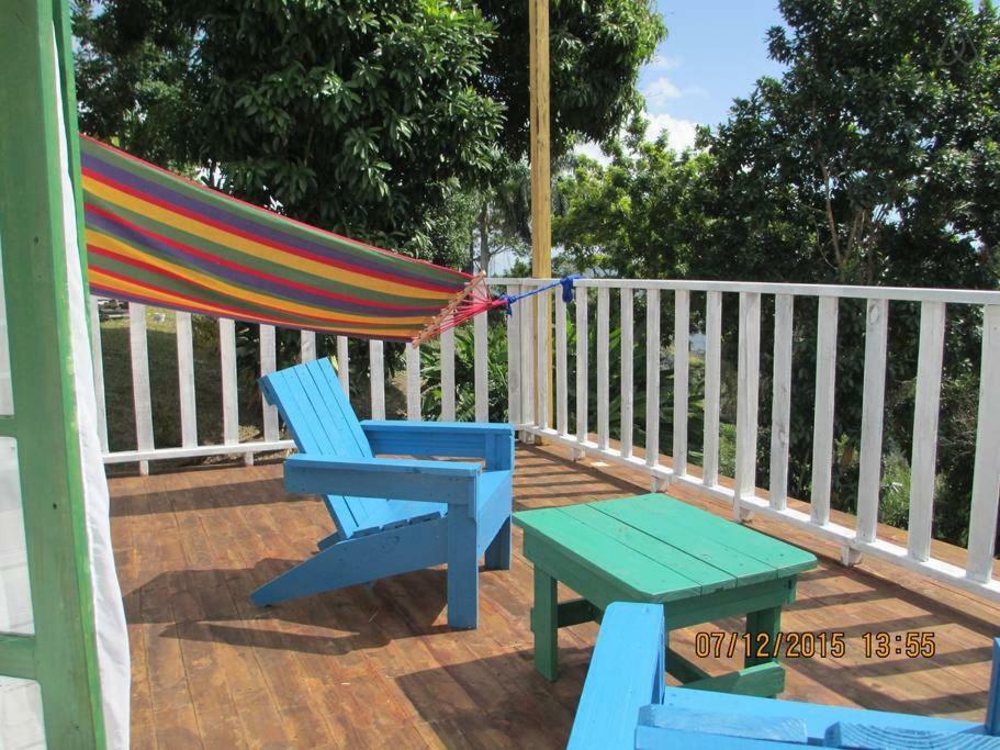 Kingsworth Bed & Breakfast Kingston