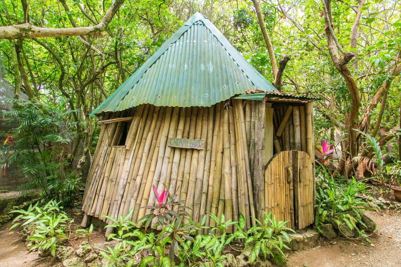 Great Huts