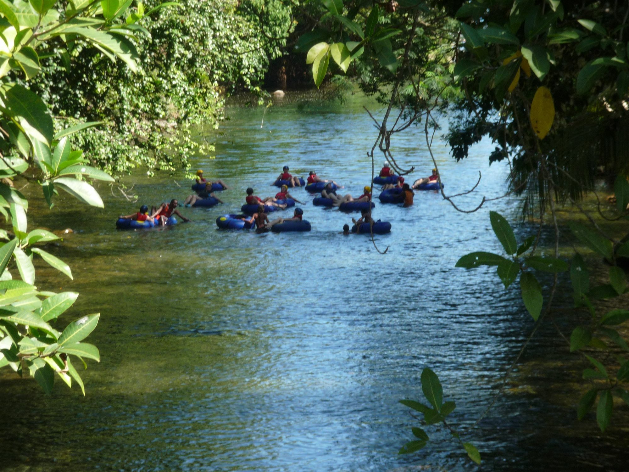 Hibiscus Valley 3*
