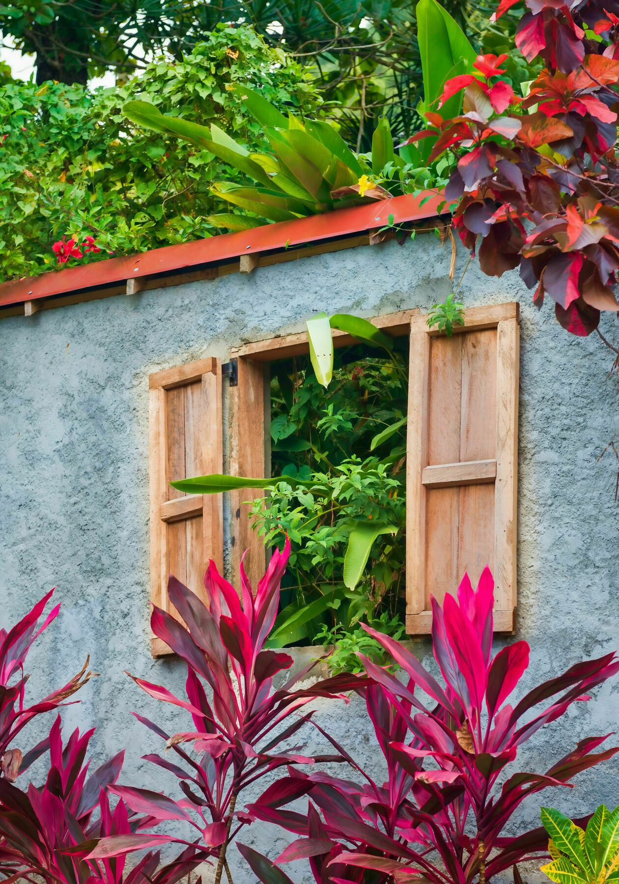 Hibiscus Valley 3* Marigot
