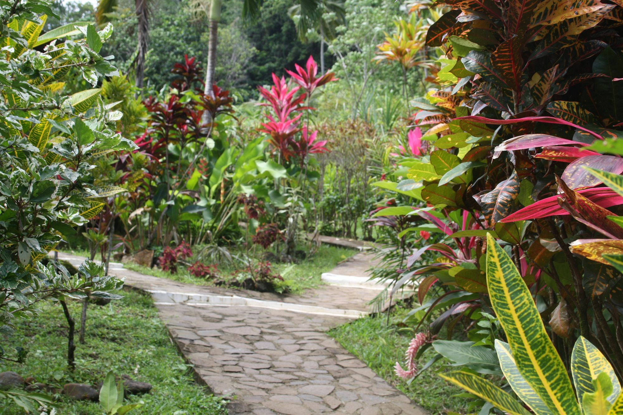 Hibiscus Valley 3* Marigot