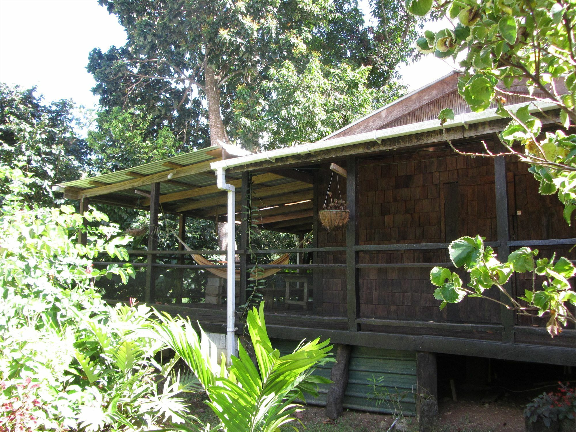 Pensão Hibiscus Valley