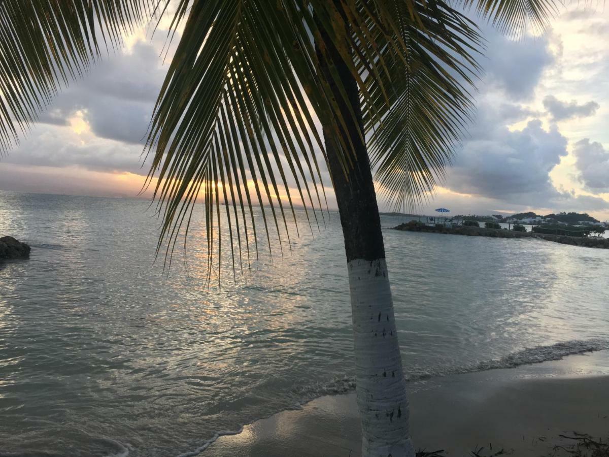 Apartamento Brin D'ile Anse Des Rochers Vue A 50 M De La Et Piscine Saint-Francois (Grande-Terre)
