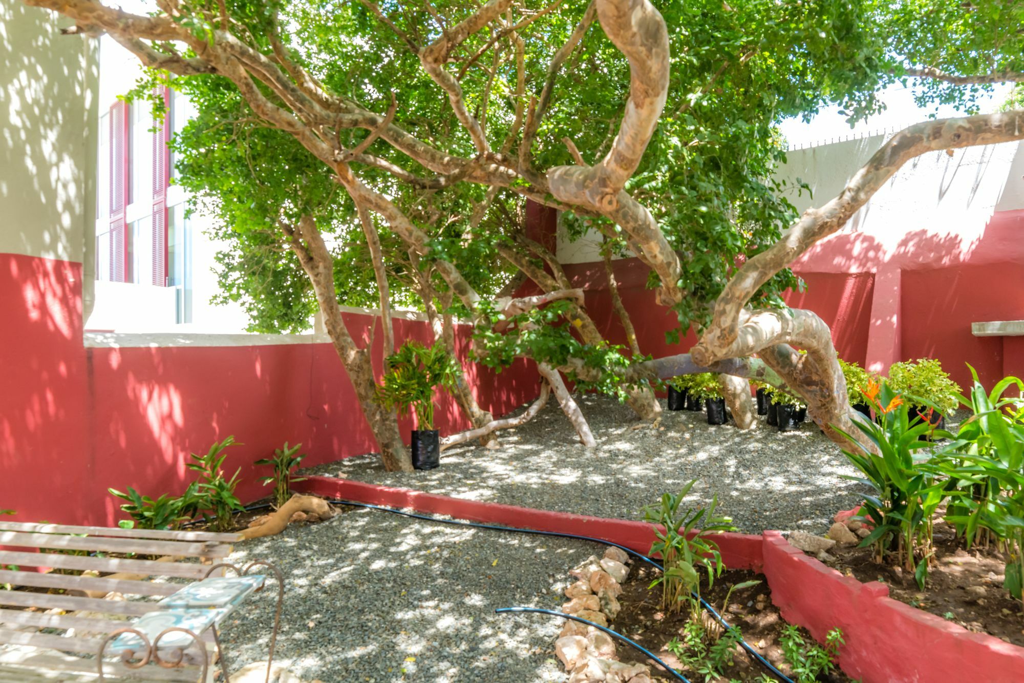 Apartment Bario Willemstad
