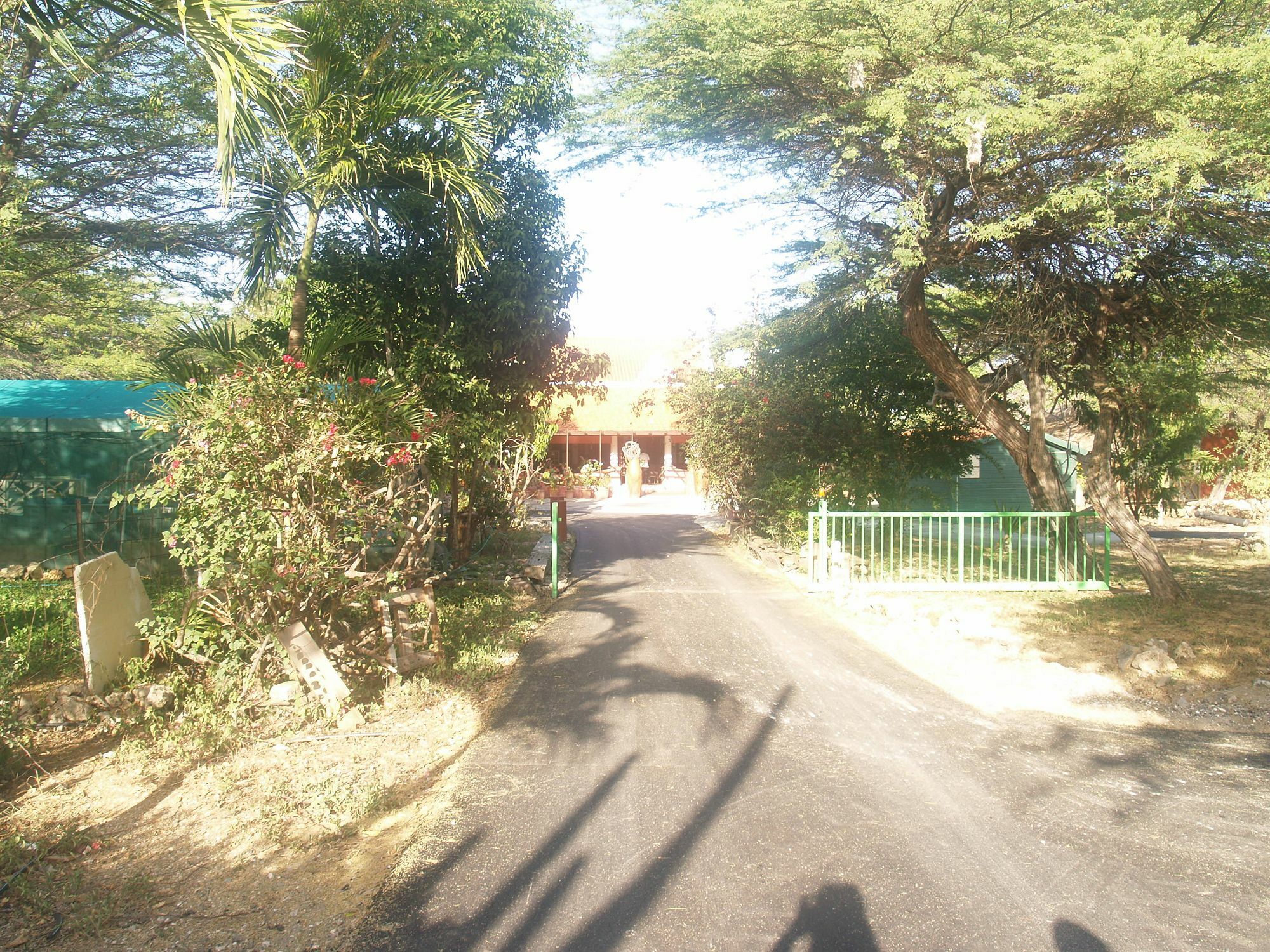 Hotel Daniel - Plantation House 3*