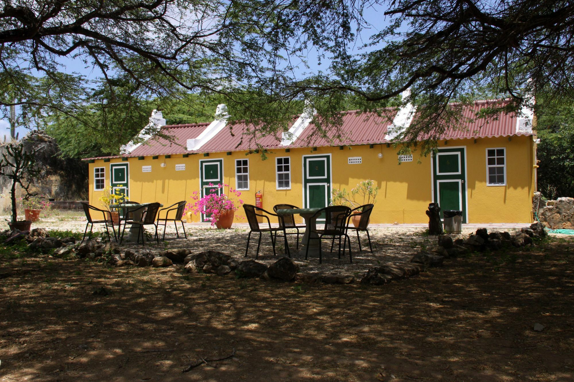 Daniel - Plantation House Hotel 3*