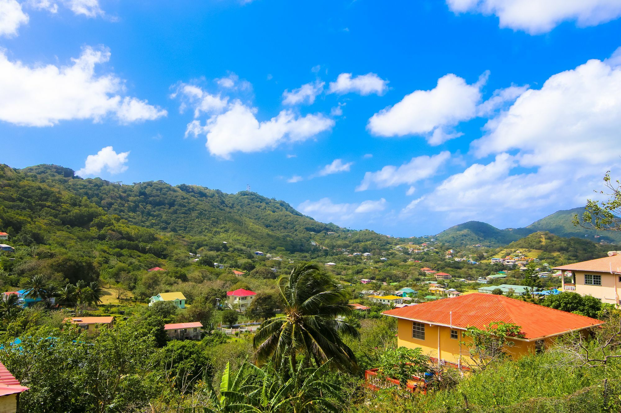 Laurena Carriacou