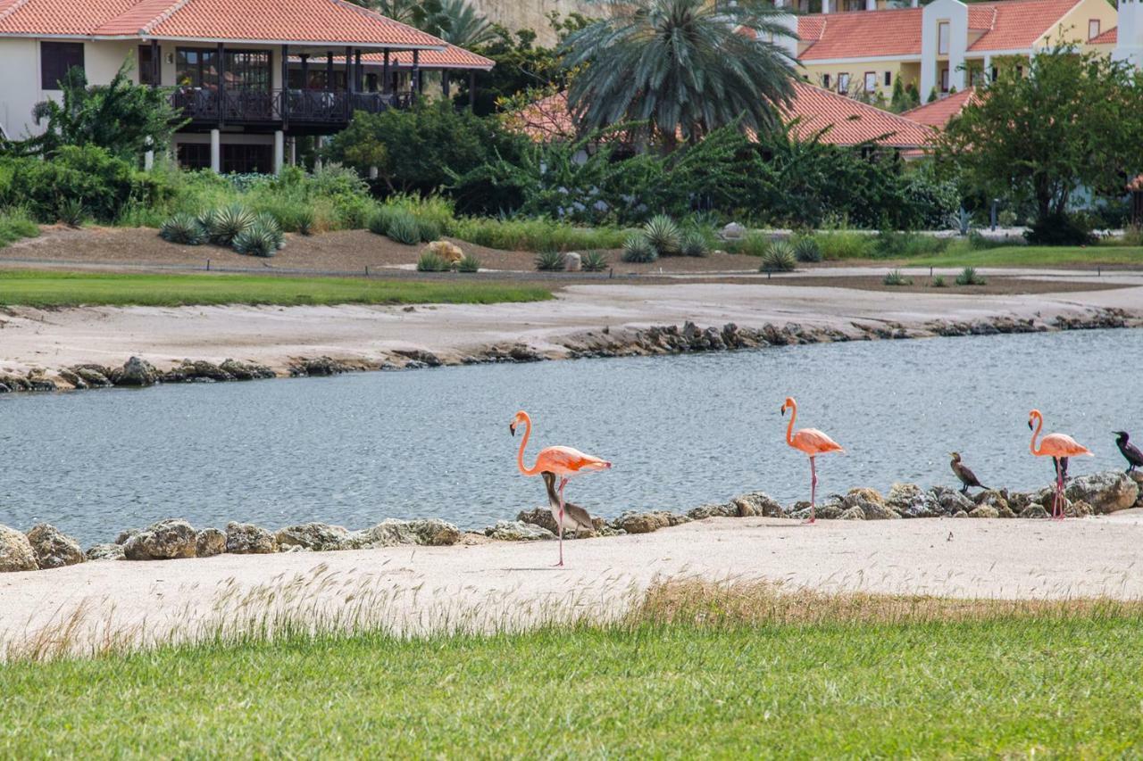 Apartamento Blue Bay Beach Apartments Blue Bay