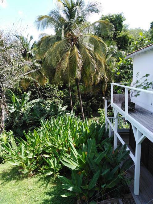 Au Vieux Manguier Casa de férias