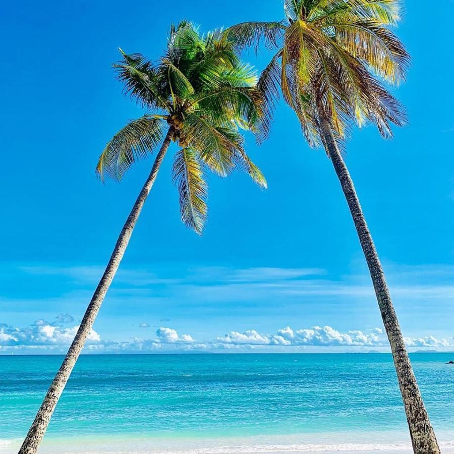 Au Vieux Manguier Casa de férias Deshaies