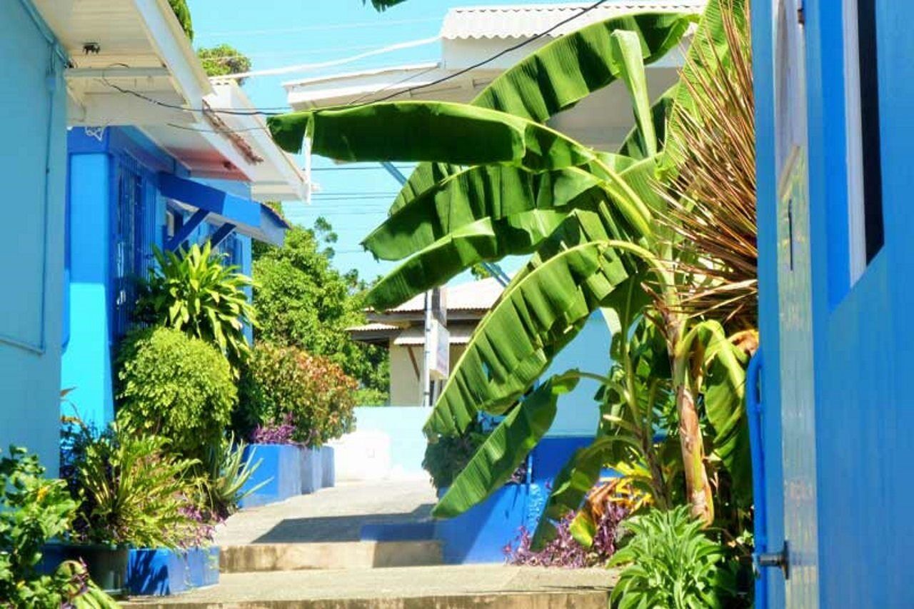 Miller's Guest house Buccoo