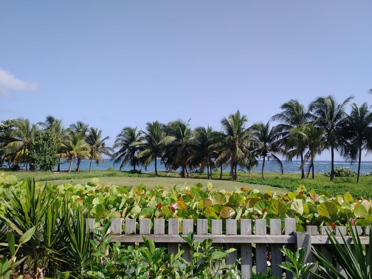 Alojamento Bungalove Le Moule