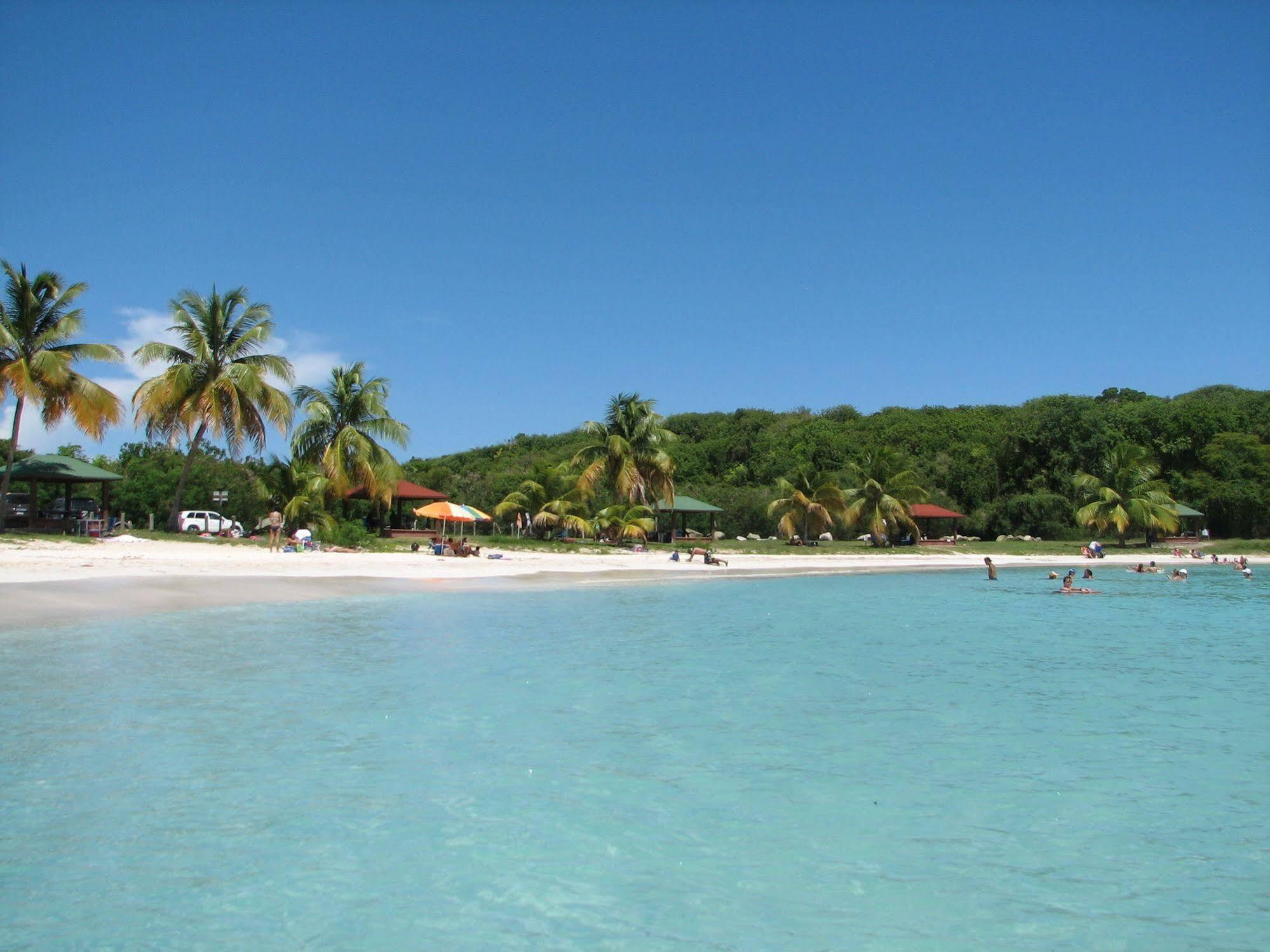 The Wave 2* Vieques