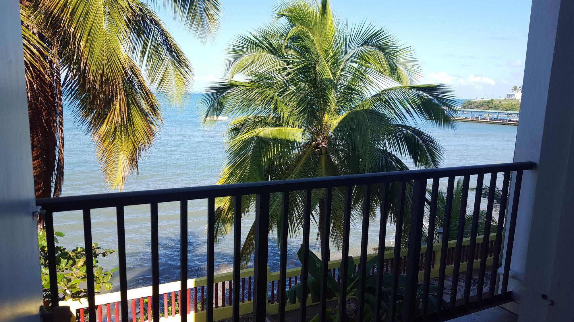 The Wave Hotel Vieques