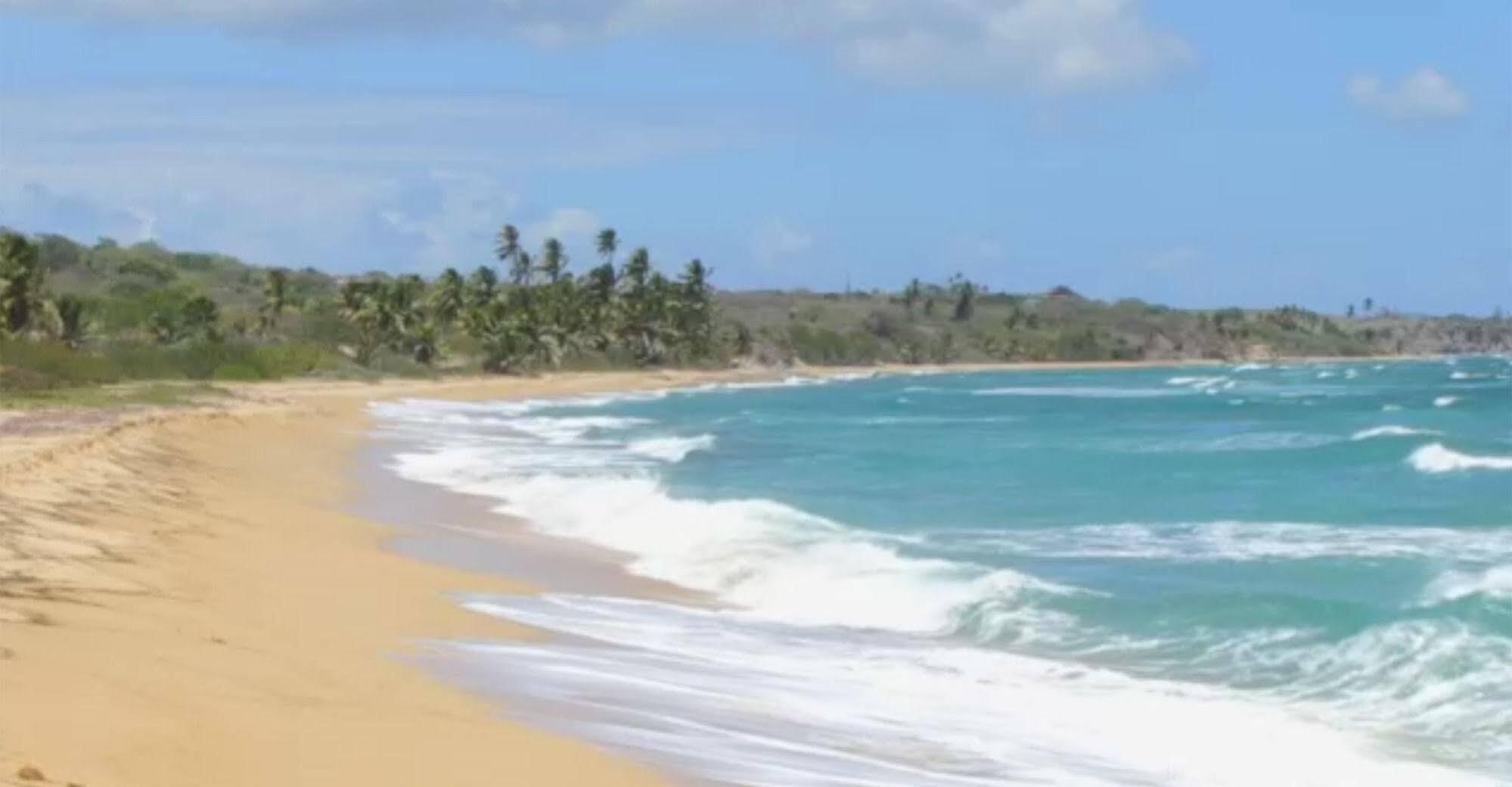 The Wave Hotel Vieques